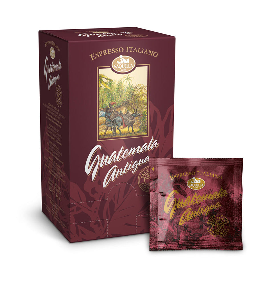 Saquella Guatemala Antigua pods ESE