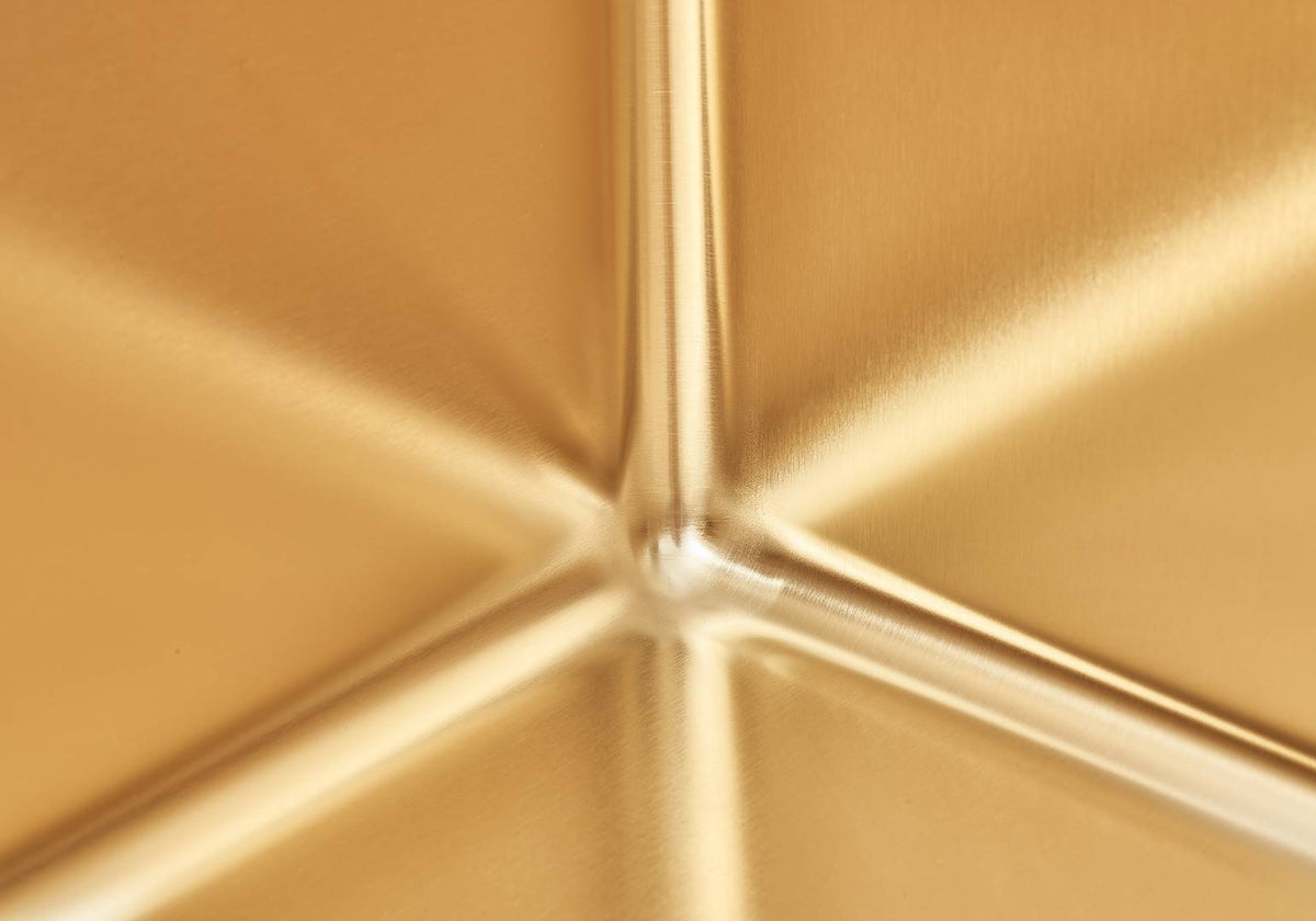 Foster Skin Gold 4453 849
