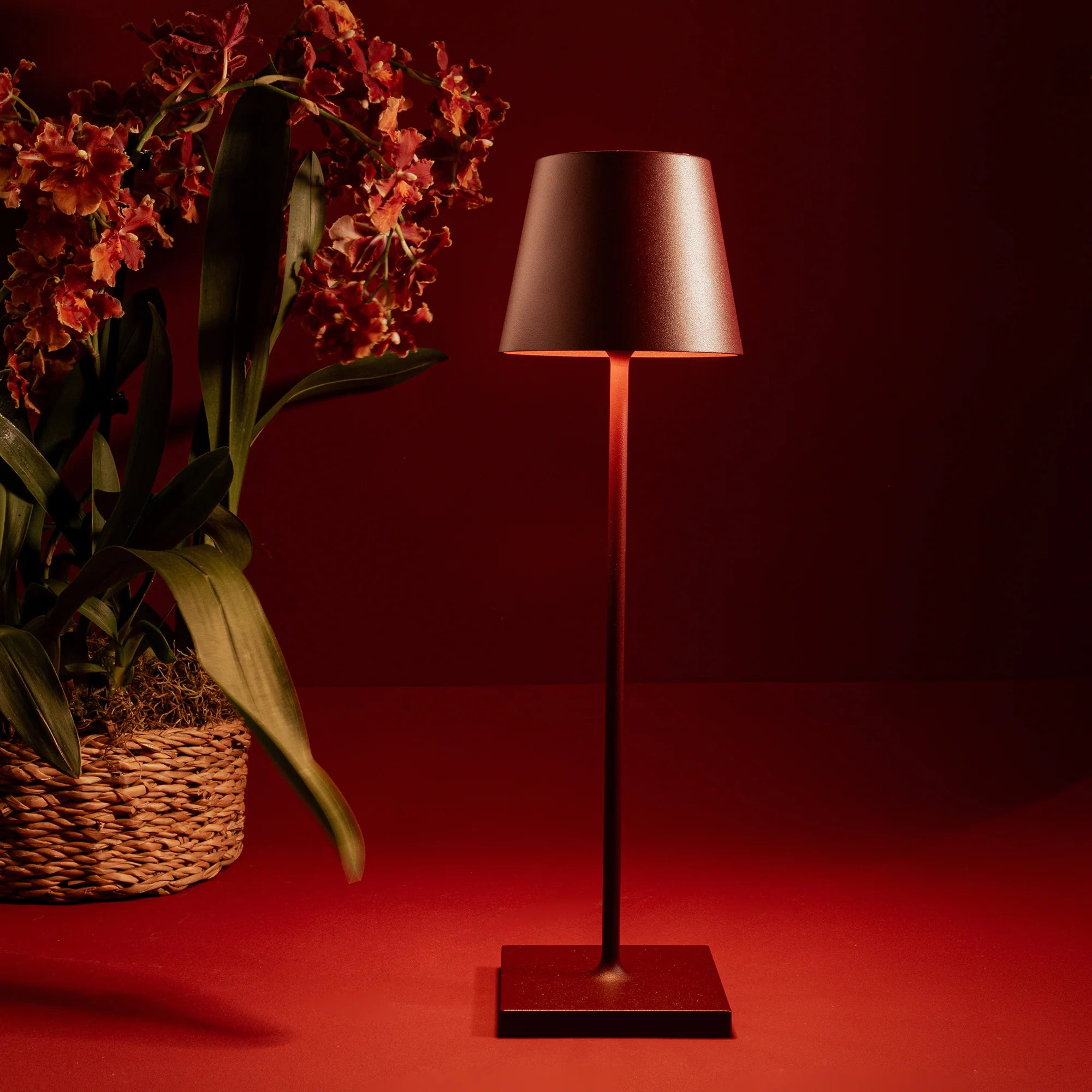 Zafferano Poldina stona lampa